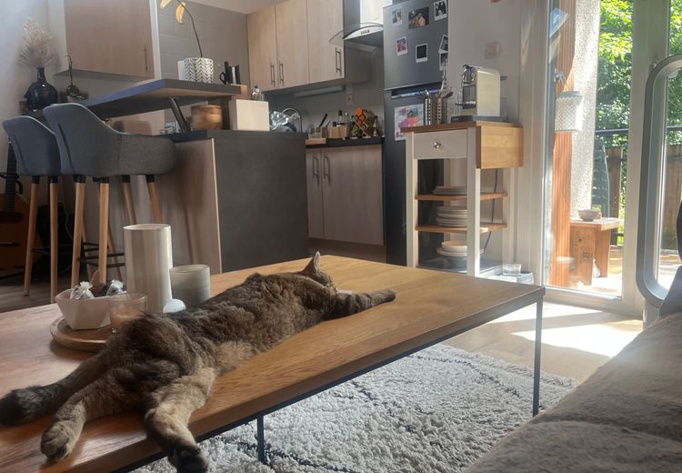 Des photos de la maison de Emilie