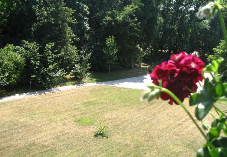 Pictures of MALOU's house