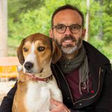 GUILLAUME B.