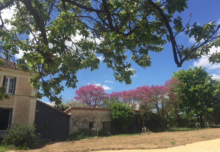 Pictures of Nadine N.'s house