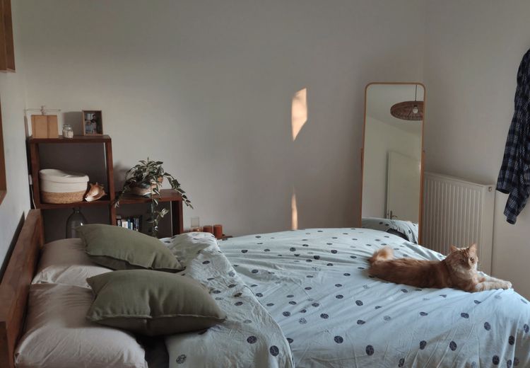 Pictures of Pauline's house