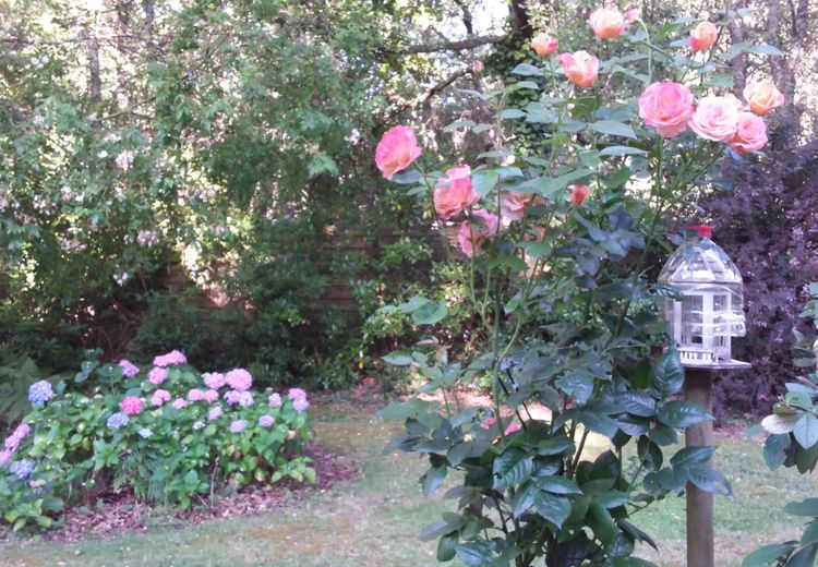 Pictures of Marie's house