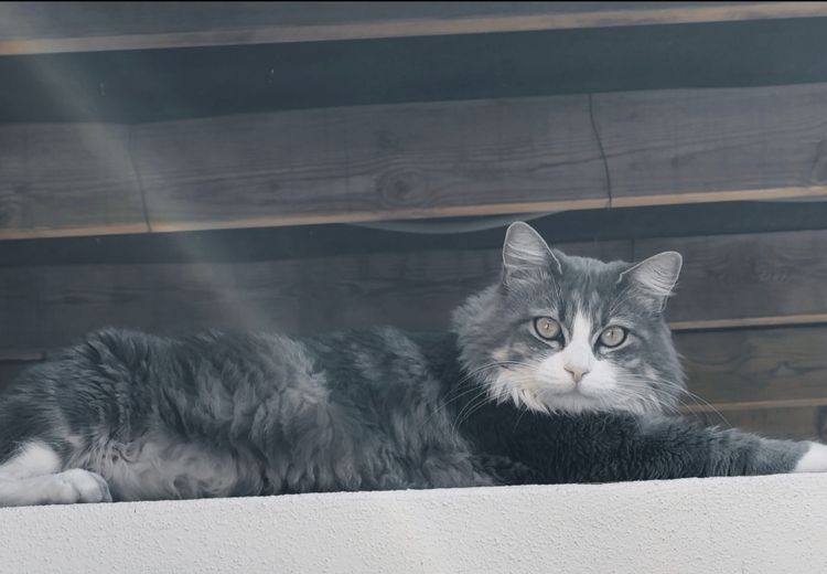 Des photos de la maison de Emilie