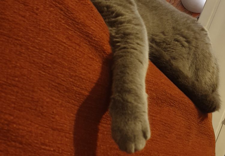 Fotos von Tanit en Vareilles Haus