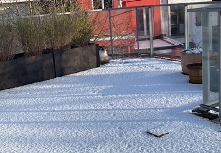 Des photos de la maison de Araceli
