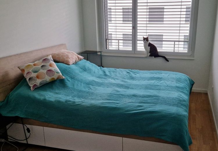 Des photos de la maison de Stephanies