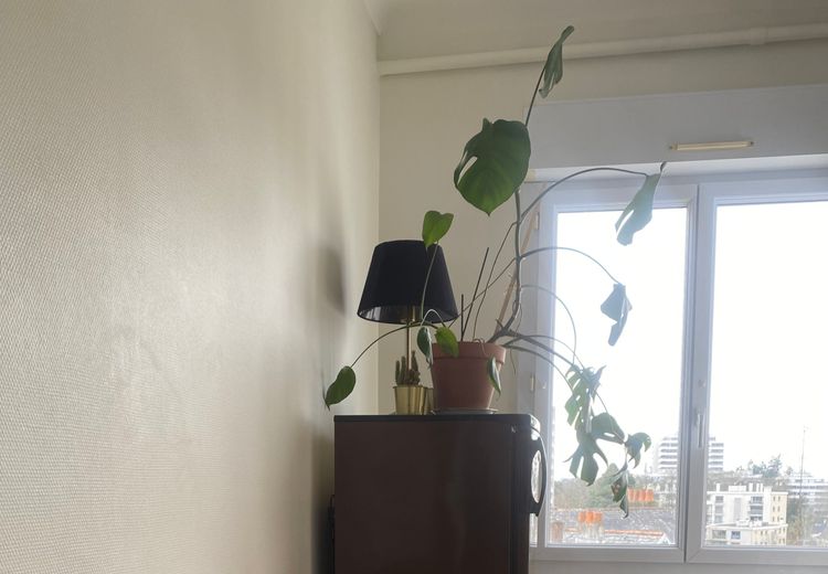 Pictures of Cindie M.'s house