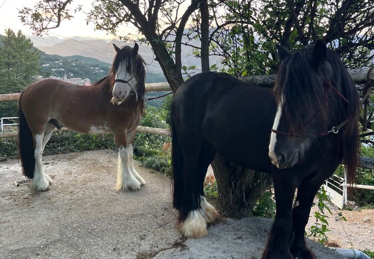 Pictures of Céline's house