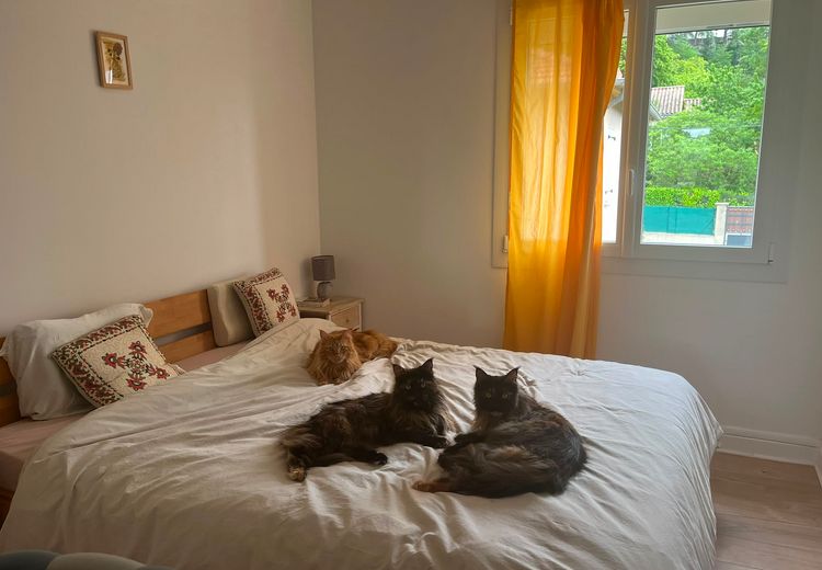 Des photos de la maison de Sarrah K.