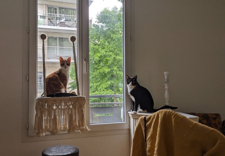 Des photos de la maison de Leyla&Benoît