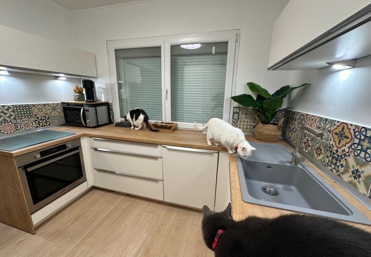 Pictures of Claire R.'s house