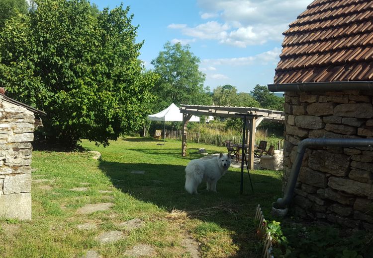 Des photos de la maison de diane H.