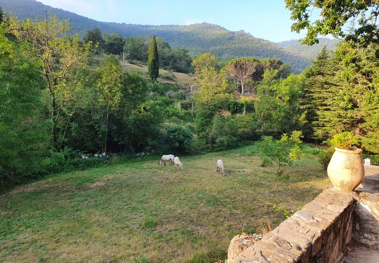 Des photos de la maison de Jocelyne F.