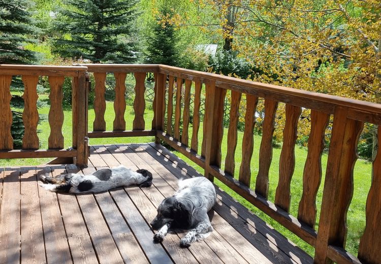 Pictures of CORINNE P.'s house