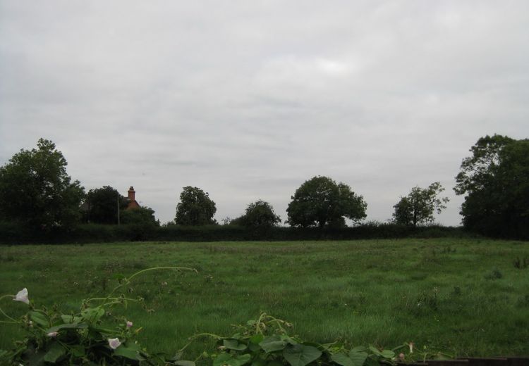 Pictures of David's house