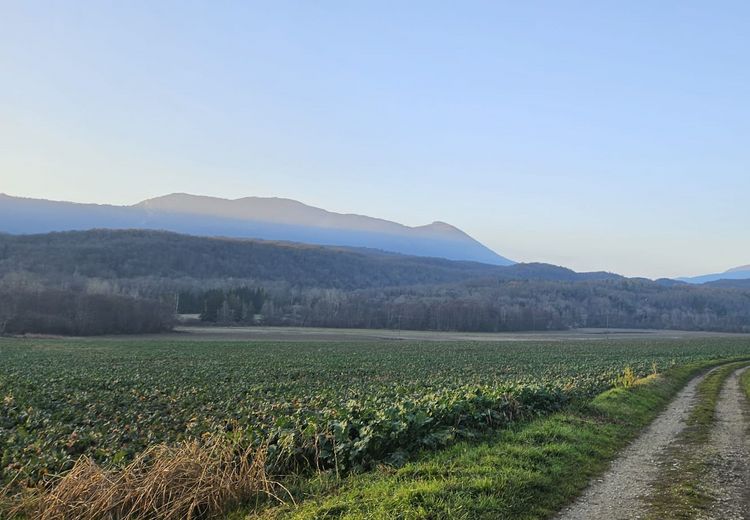 Fotos von Ophélya E. Haus