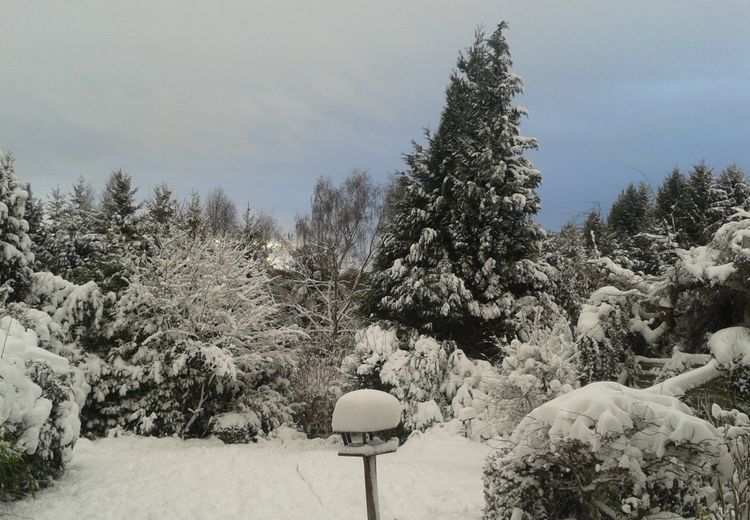 Des photos de la maison de Andrea B.