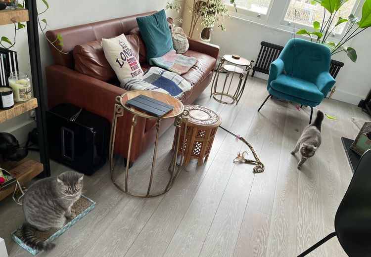 Pictures of Laureline's house