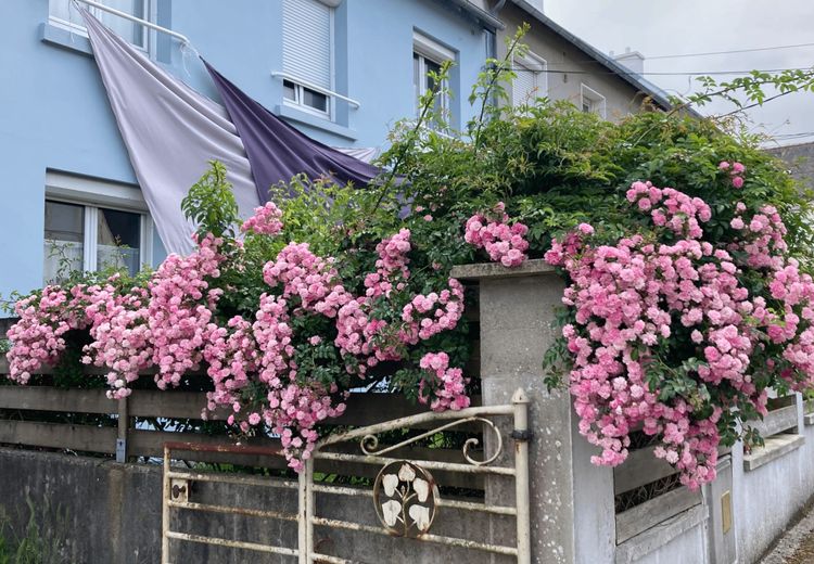 Pictures of Nicole's house