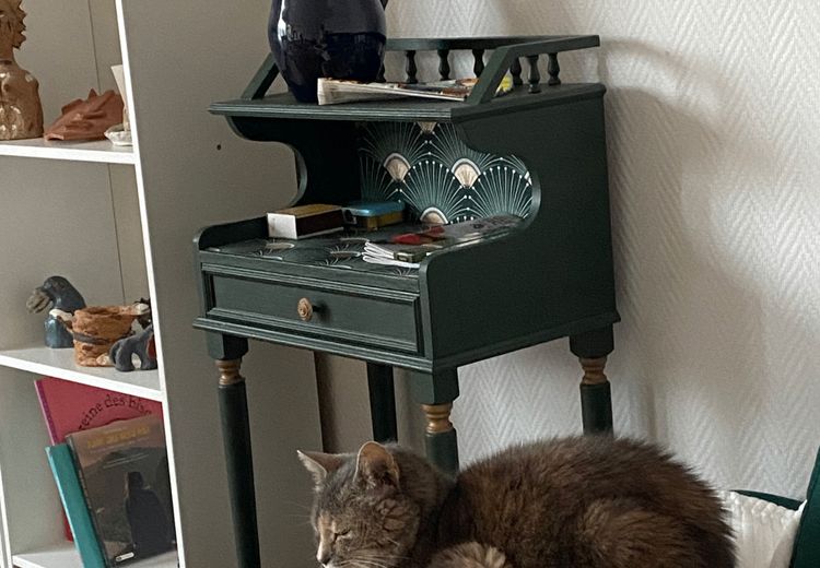 Des photos de la maison de Dalila S.