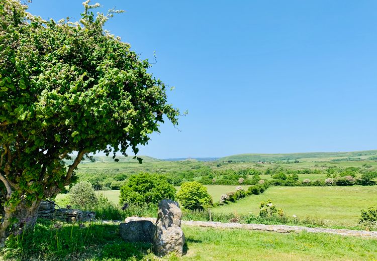 Des photos de la maison de Belinda B.