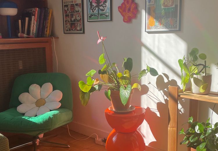 Fotos von Mathilde Haus