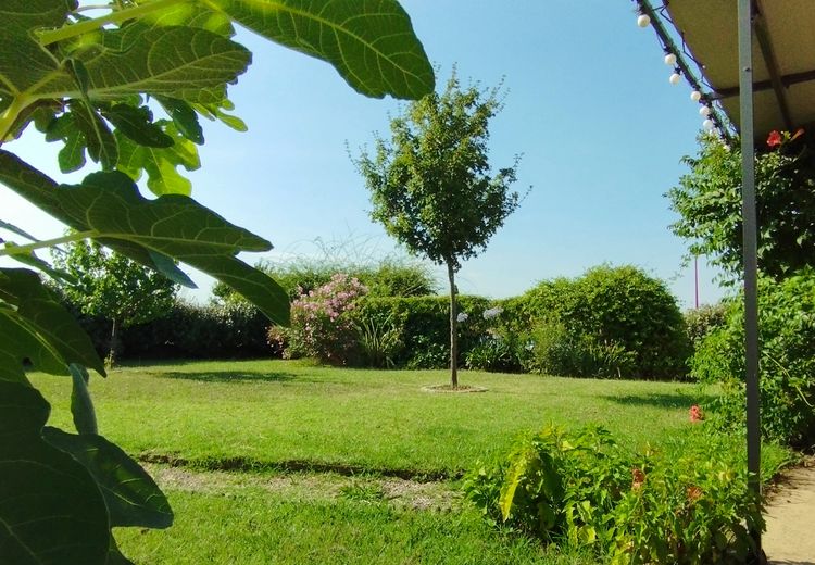 Pictures of Christelle C.'s house