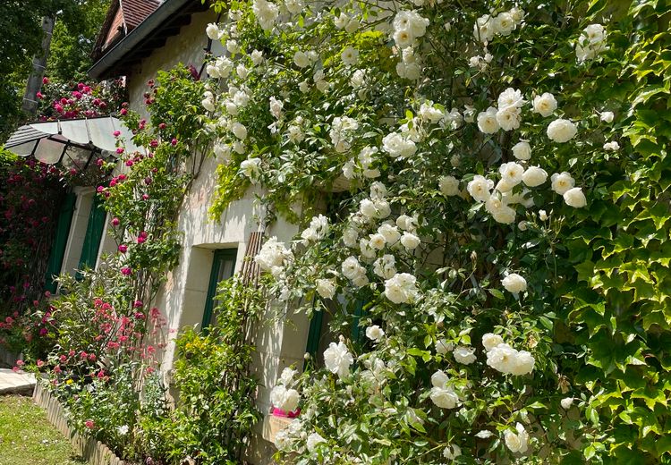 Pictures of Claude H.'s house