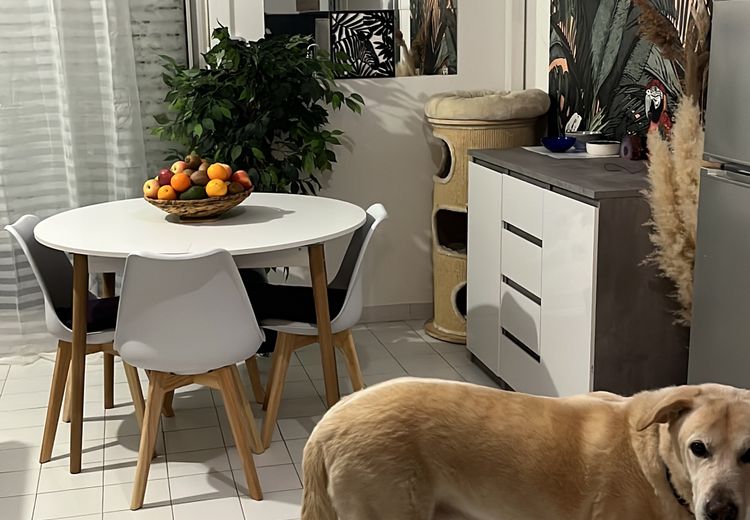 Fotos von Lolo Haus