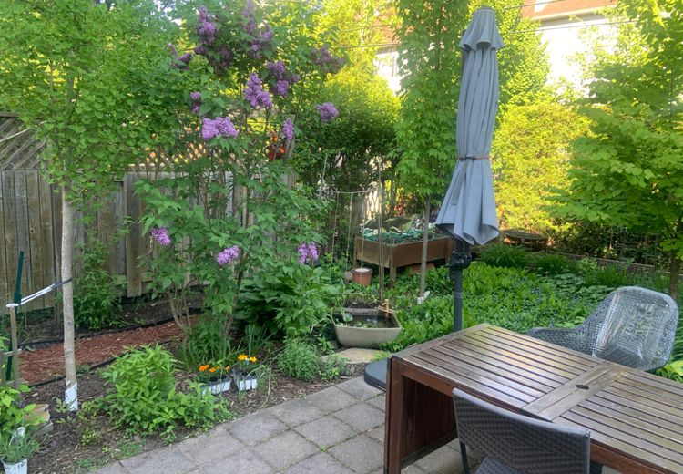 Pictures of Frédérie C.'s house