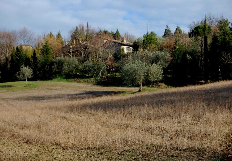 Des photos de la maison de UMBRIA V.