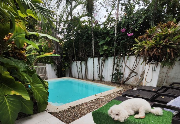 Pictures of Stefania's house