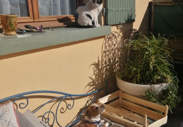Des photos de la maison de Sandrine B.