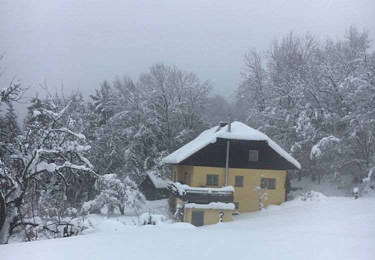 Pictures of Daniela F.'s house