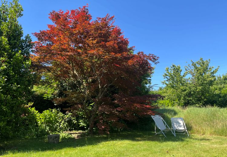 Fotos von Fanny Haus