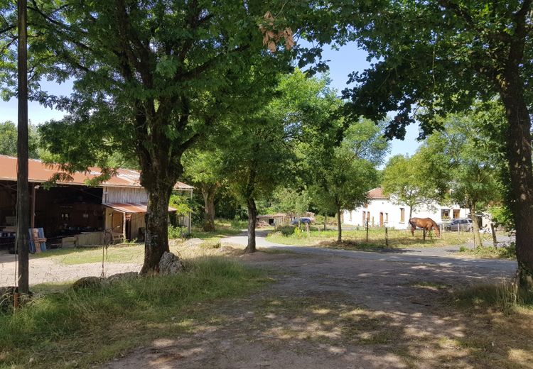 Fotos von Sady et Jean-François Haus
