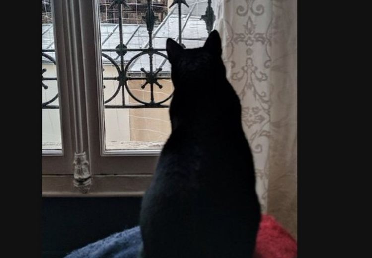 Fotos von Nasko Haus