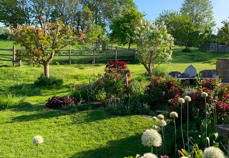 Des photos de la maison de Belinda B.