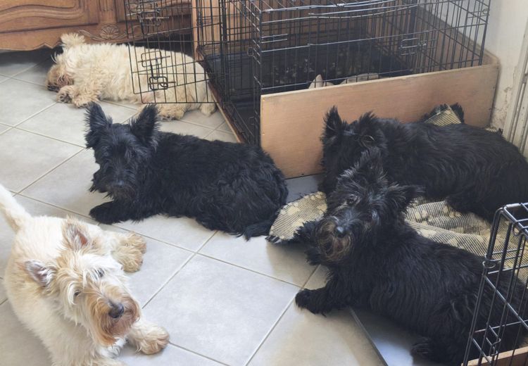Des photos de la maison de Sabine et Philippe
