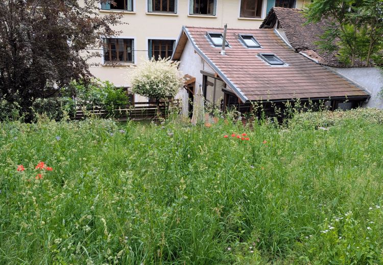 Pictures of Frédéric's house