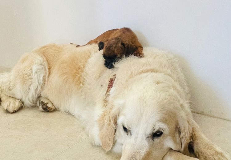 Des photos de la maison de Laeti et Greg