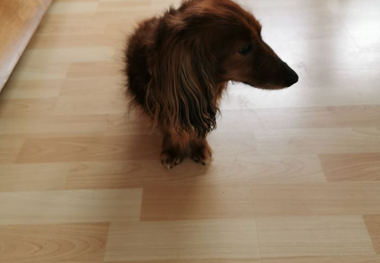 Pictures of Guigui's house