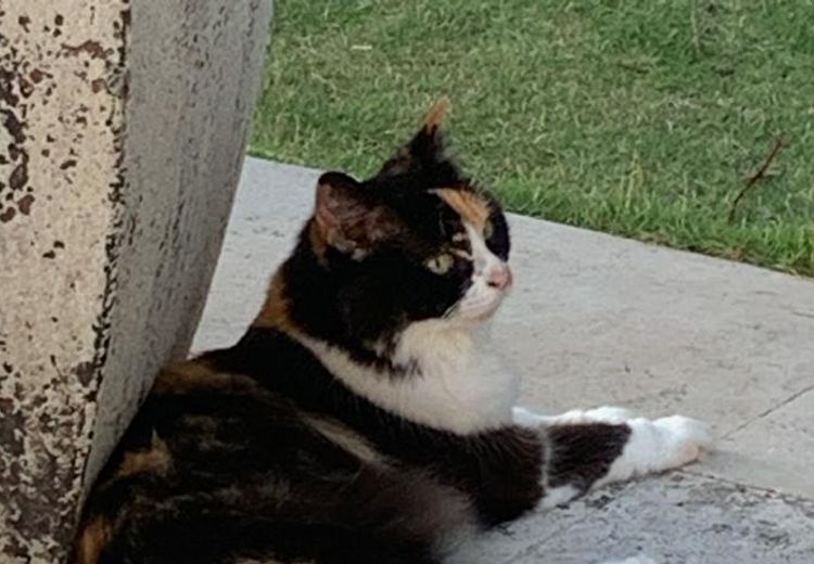 Pictures of Kitty B.'s house