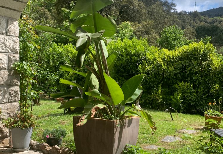 Pictures of Franck et Marie pierre's house