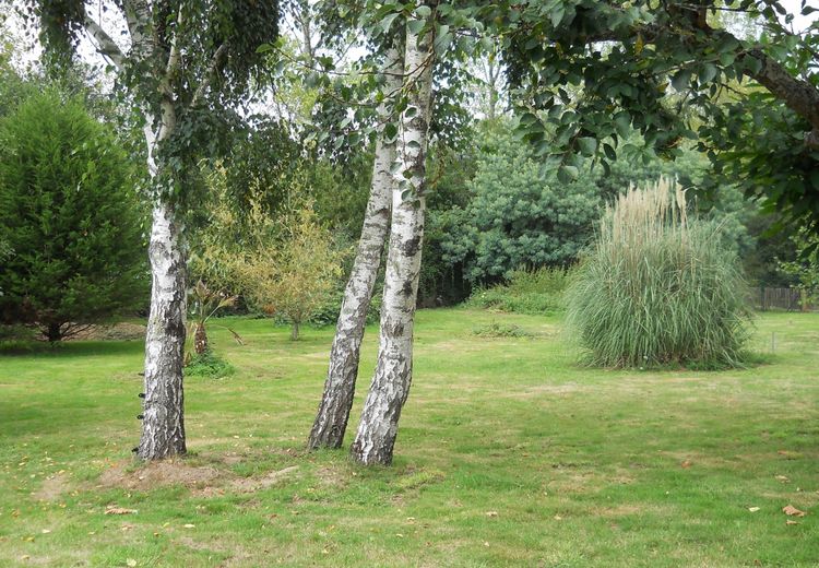 Des photos de la maison de jérôme B.