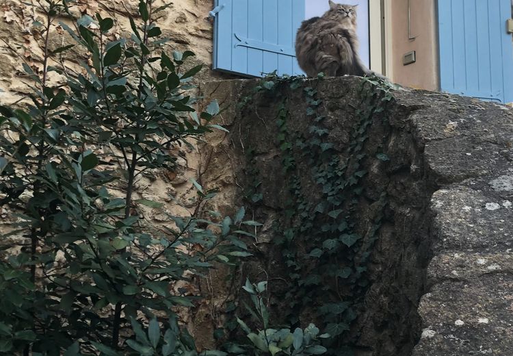 Pictures of Chris's house