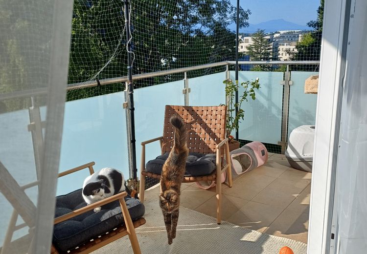 Des photos de la maison de Siiri T.