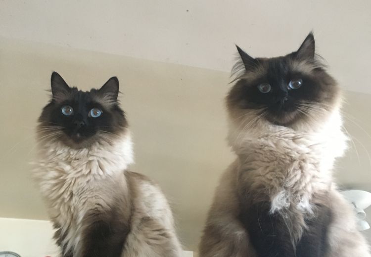 Des photos de la maison de Delphine