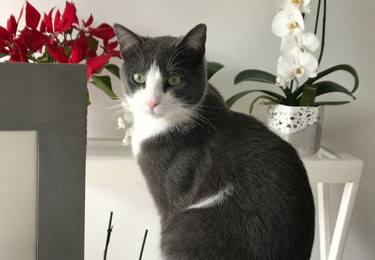 Des photos de la maison de Sylvie