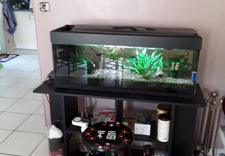 Pictures of Edwige P.'s house